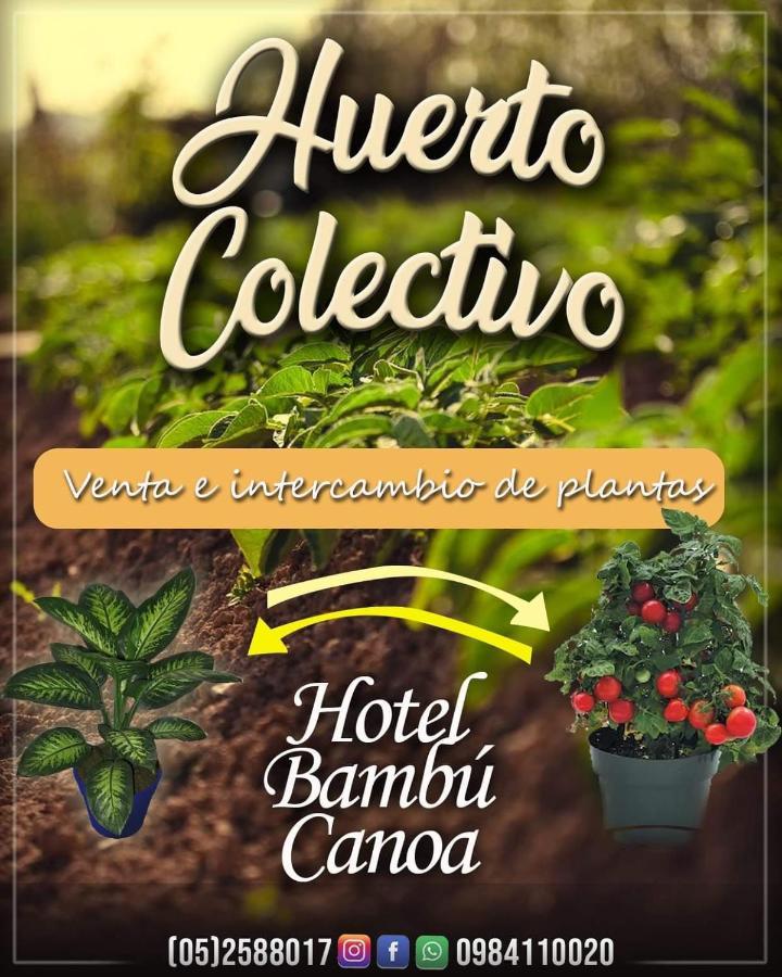 Hotel Bambu Canoa Exteriér fotografie